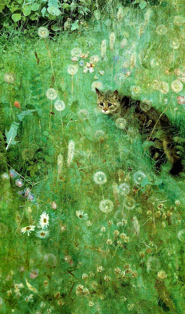katt pa blommande sommarang